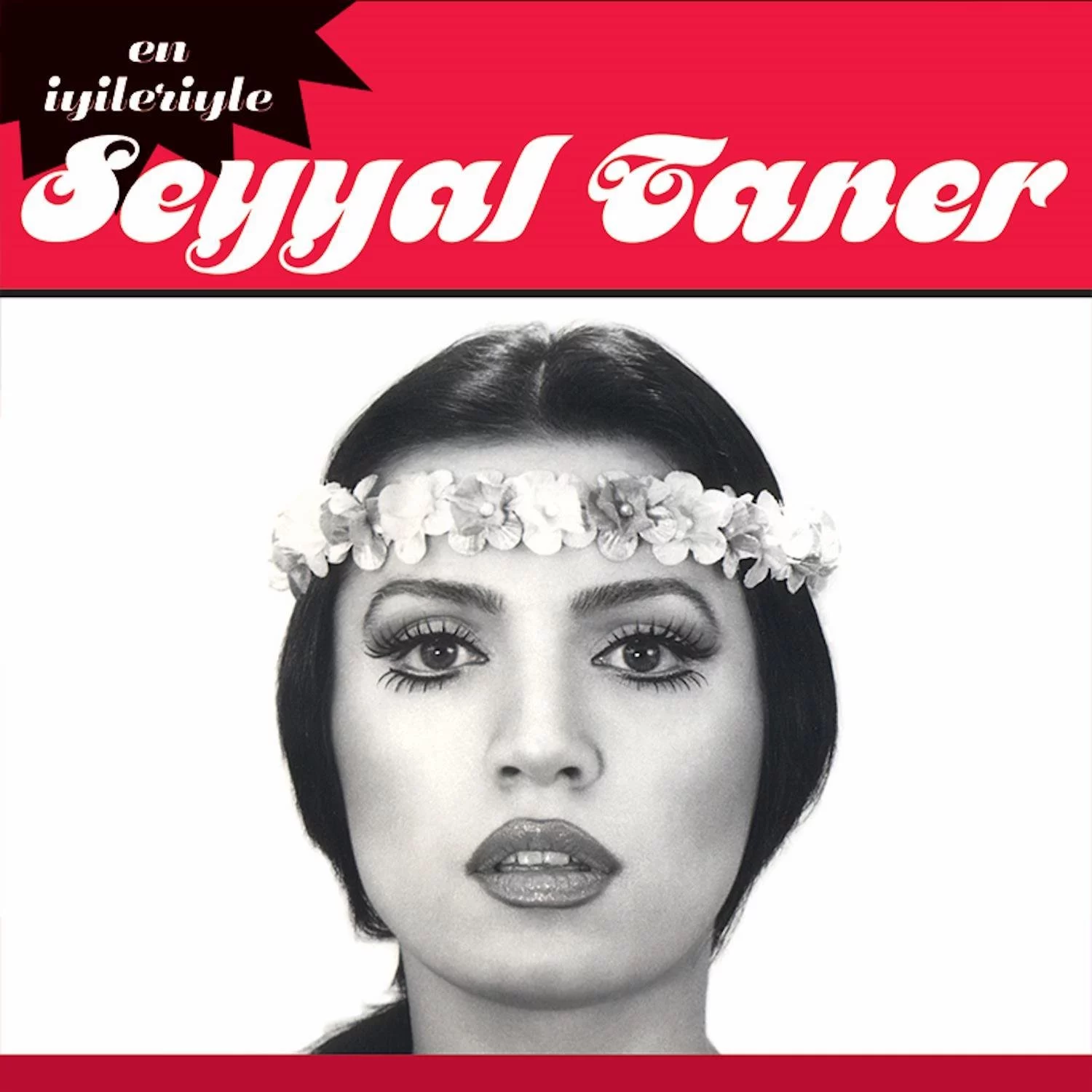 seyyal-taner-en-iyileriyle-plak Seyyal Taner En İyileriyle - Plak - Görsel 1