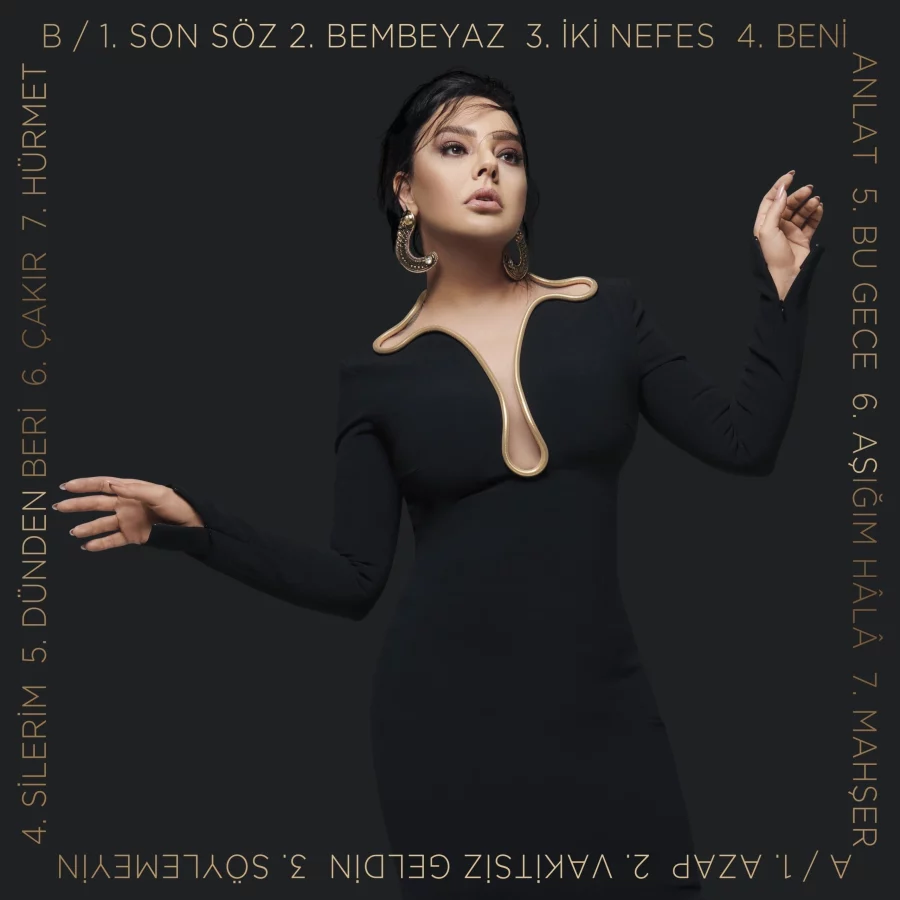 Ebru Gündeş Aşığım Hâlâ - Limited Edition Plak - Görsel 2