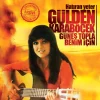 Gülden Karaböcek Güneş Topla Benim İçin - Plak