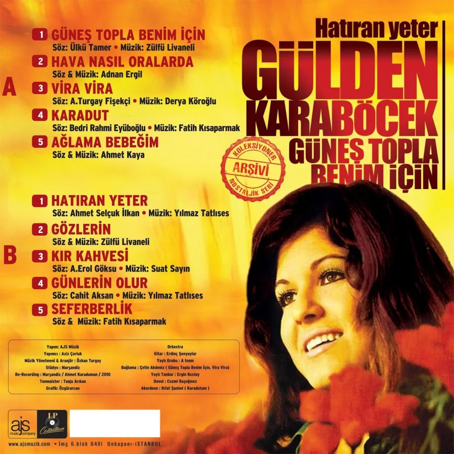 Gülden Karaböcek Güneş Topla Benim İçin - Plak - Görsel 2