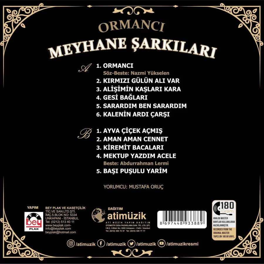Meyhane Şarkıları Ormancı - Plak - Görsel 2