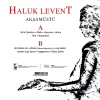 Haluk Levent Akşamüstü - Plak - Görsel 2