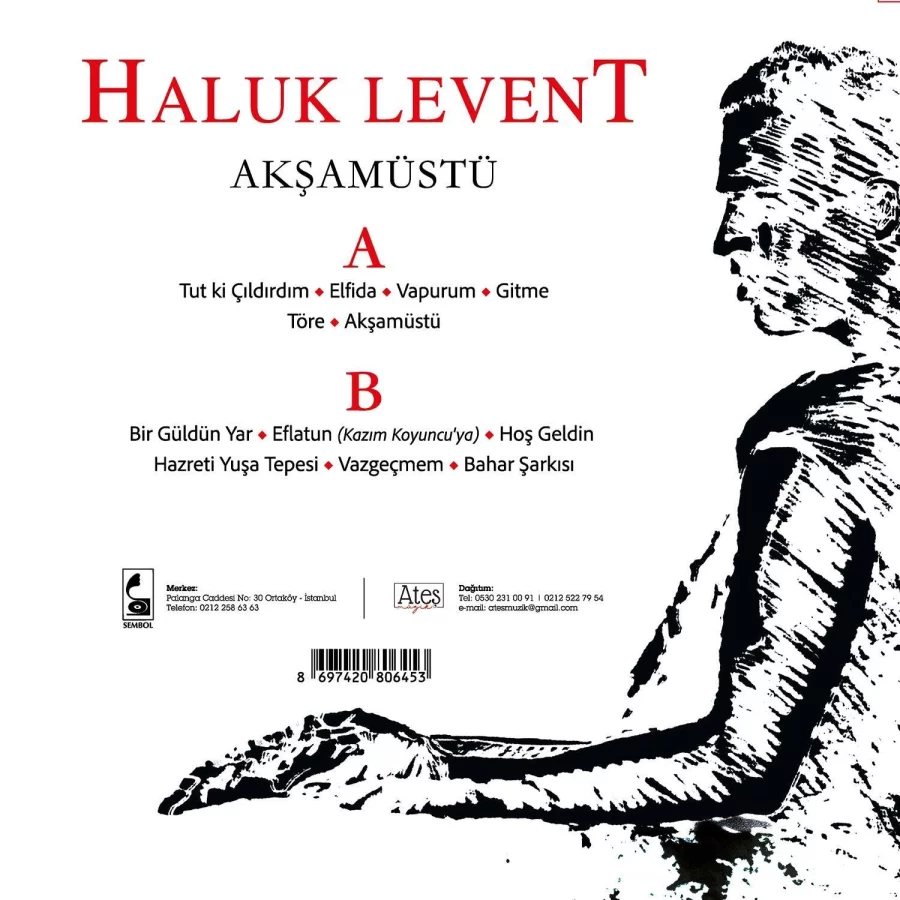 Haluk Levent Akşamüstü - Plak - Görsel 2