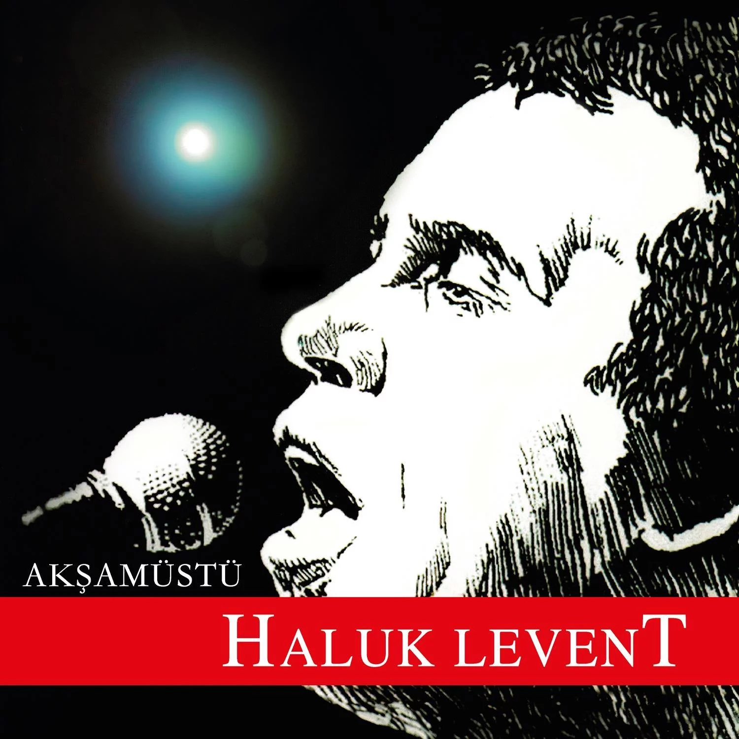 haluk-levent-aksamustu-plak Haluk Levent Akşamüstü - Plak - Görsel 1