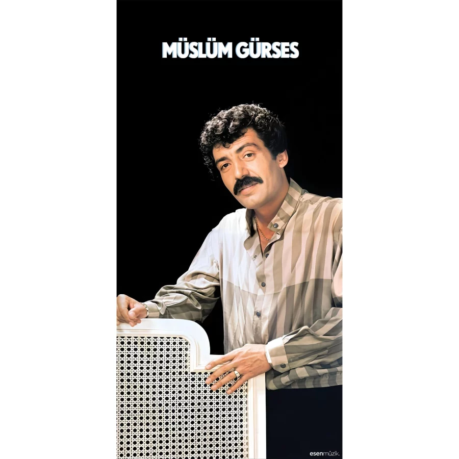 Müslüm Gürses Sevda Yolu - Plak - Görsel 3