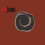 Pinhani İnandığın Masallar - Plak