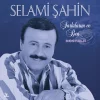 Selami Şahin Şarkılarım ve Ben / Nostalji - Plak