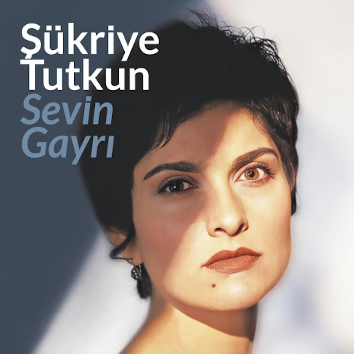 sukriye-tutkun-sevin-gayri-plak Şükriye Tutkun Sevin Gayrı - Plak - Görsel 1