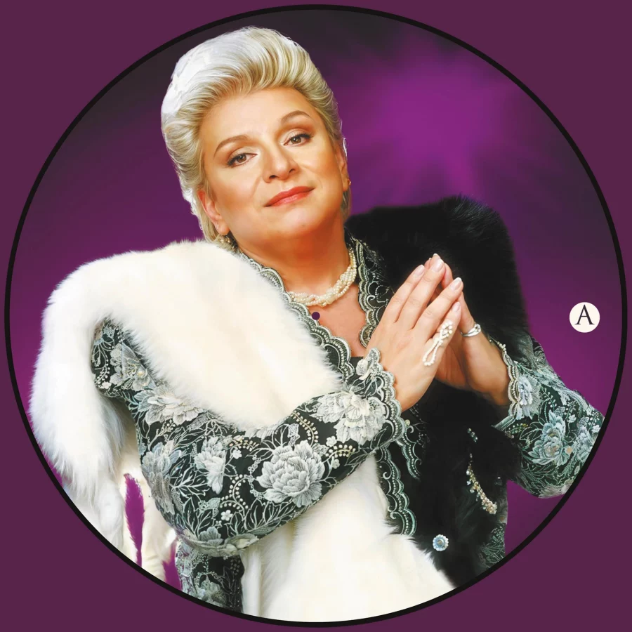 Zeki Müren - Batmayan Güneş (Numaralı Picture Plak) - Görsel 2
