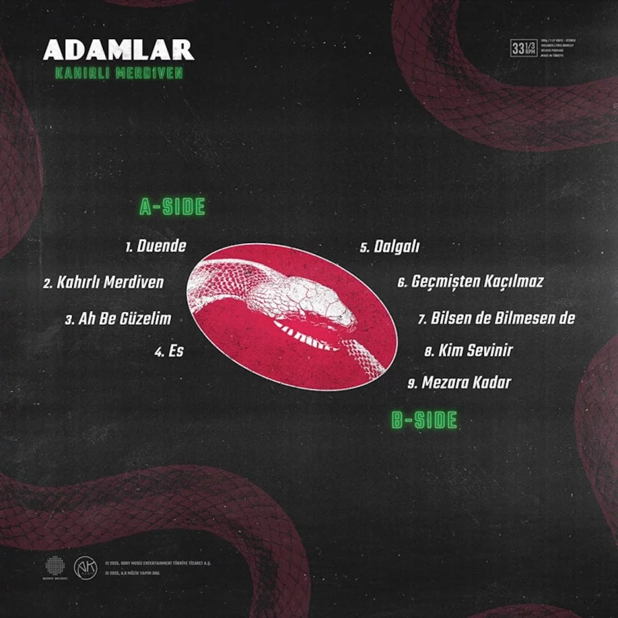 Adamlar Kahırlı Merdiven - Plak - Görsel 2