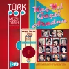 Türk Pop Müzik Tarihi 1960-70'lı Yıllar / LP Vol.2 (Renkli Plak)