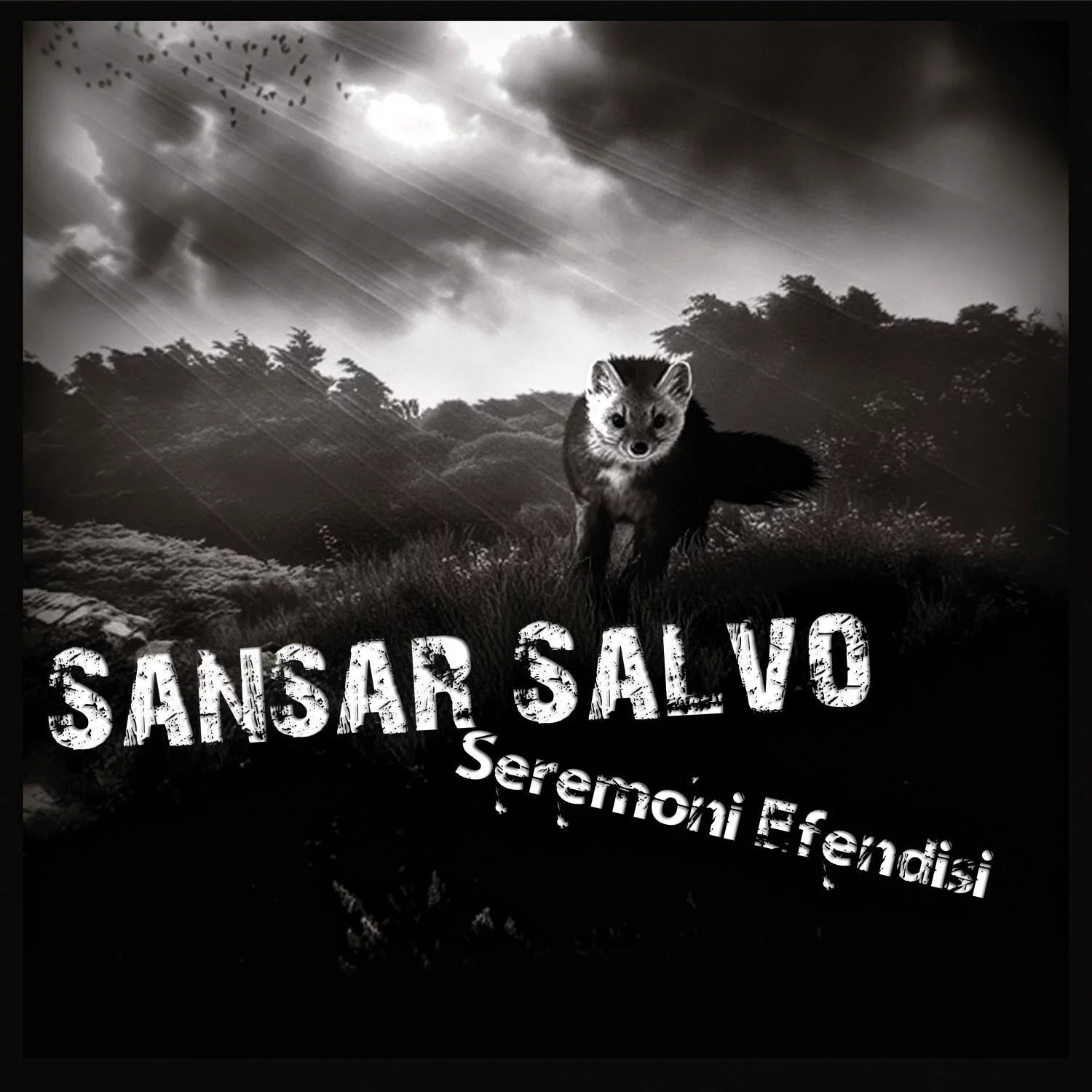 sansar-salvo-seremoni-efendisi-plak Sansar Salvo - Seremoni Efendisi (Plak) - Görsel 1