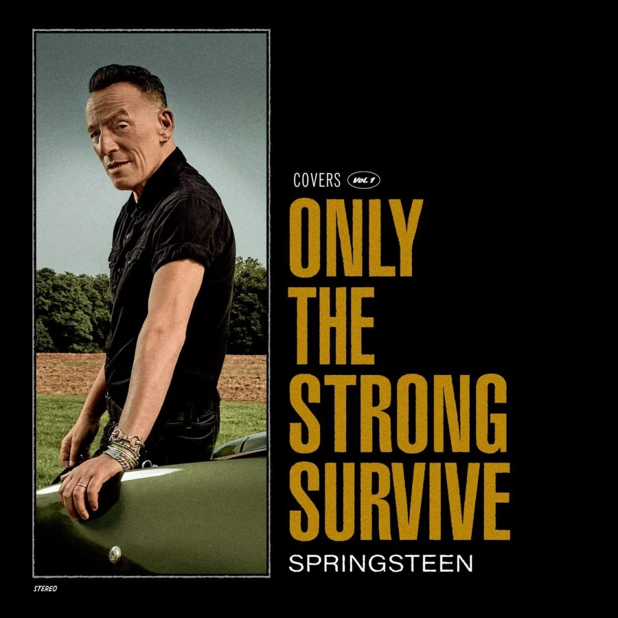 Bruce Springsteen - Only The Strong Survive (Colou red Vinyl) (2 Plak) - Görsel 2