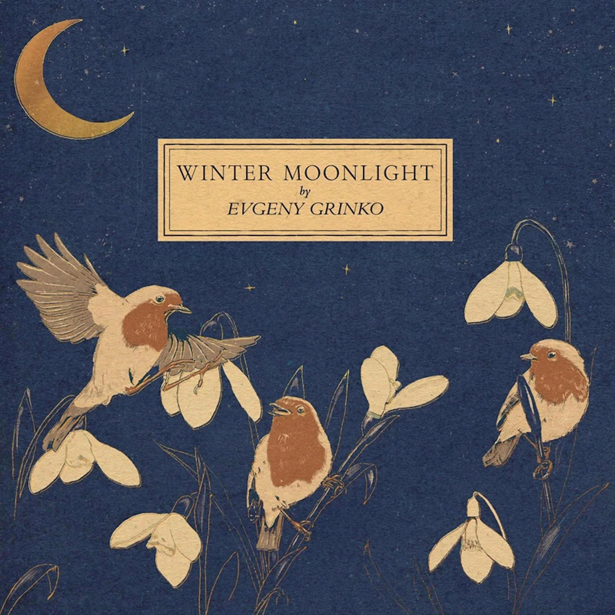 evgeny-grinko-winter-moonlight-orange-marmalade-plak Evgeny Grinko - Winter Moonlight/Orange Marmalade (Plak) - Görsel 1