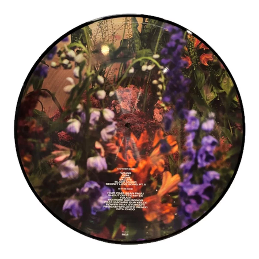 Little Mix - Between Us (Picture Disc - Perrie Edi tion) (2 Plak) - Görsel 3