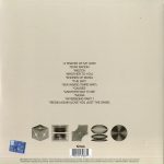 Nick Mulvey - New Mythology (Coloured Vinyl) (Plak - Görsel 2