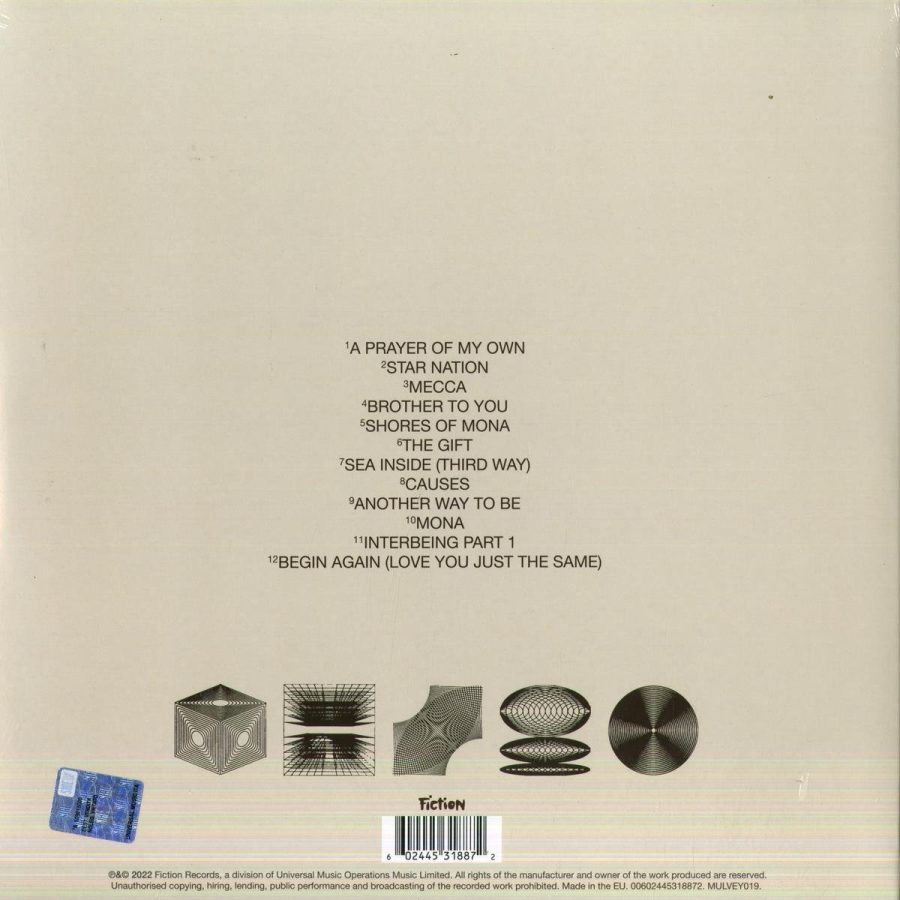 Nick Mulvey - New Mythology (Coloured Vinyl) (Plak - Görsel 2