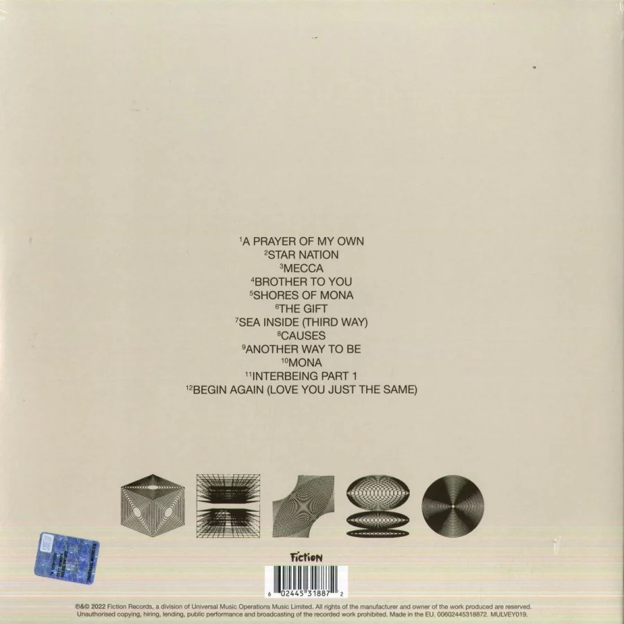 Nick Mulvey - New Mythology (Coloured Vinyl) (Plak - Görsel 2