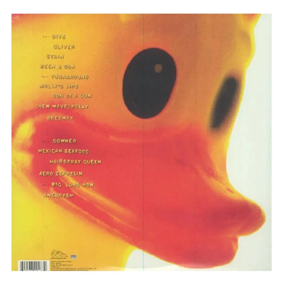 Nirvana - Incesticide (20th Anniversary - 45RPM Ed ition) (2 Plak) - Görsel 2