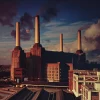 Pink Floyd - Animals (Plak) - Görsel 2