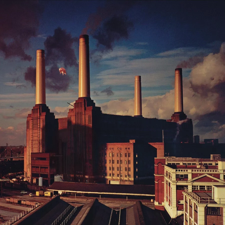 Pink Floyd - Animals (Plak) - Görsel 2