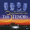 The Three Tenors in Concert 1994 (Orange/Purple 2 Plak) - Görsel 2