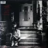 Bob Dylan - Under The Red Sky (Plak) - Görsel 2