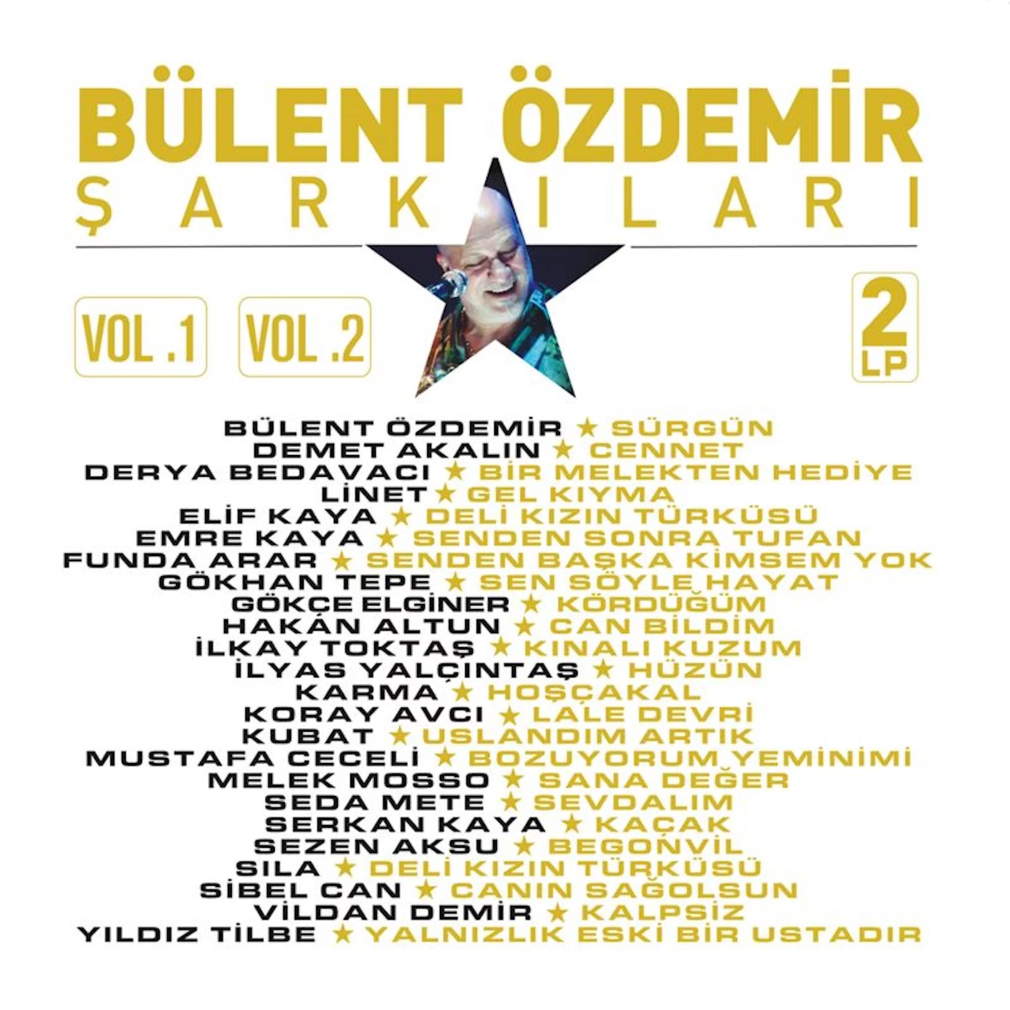 bulent-ozdemir-sarkilari-cesitli-sanatcilar-2-plak Bülent Özdemir Şarkıları - Çeşitli Sanatçılar (2 Plak) - Görsel 1