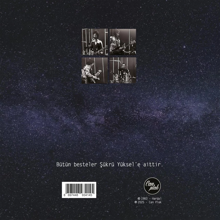 Hardal - Nereden Nereye ! (Limited Numaralı Siyah Plak) - Görsel 2