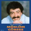 Müslüm Gürses - Dağlarda Kar Olsaydım (Plak) - Görsel 3