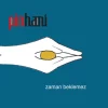 Pinhani - Zaman Beklemez (Plak)