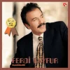 Ferdi Tayfur - Klasikleri Arşiv 2 (Plak) - Görsel 4