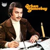 Orhan Gencebay - Bir Teselli Ver (Numaralı Plak) - Görsel 4