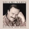 Selami Şahin - Özledim Her Şeyini (Plak)