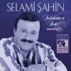 Selami Şahin - Şarkılarım ve Ben/Nostalji (Renkli Plak)