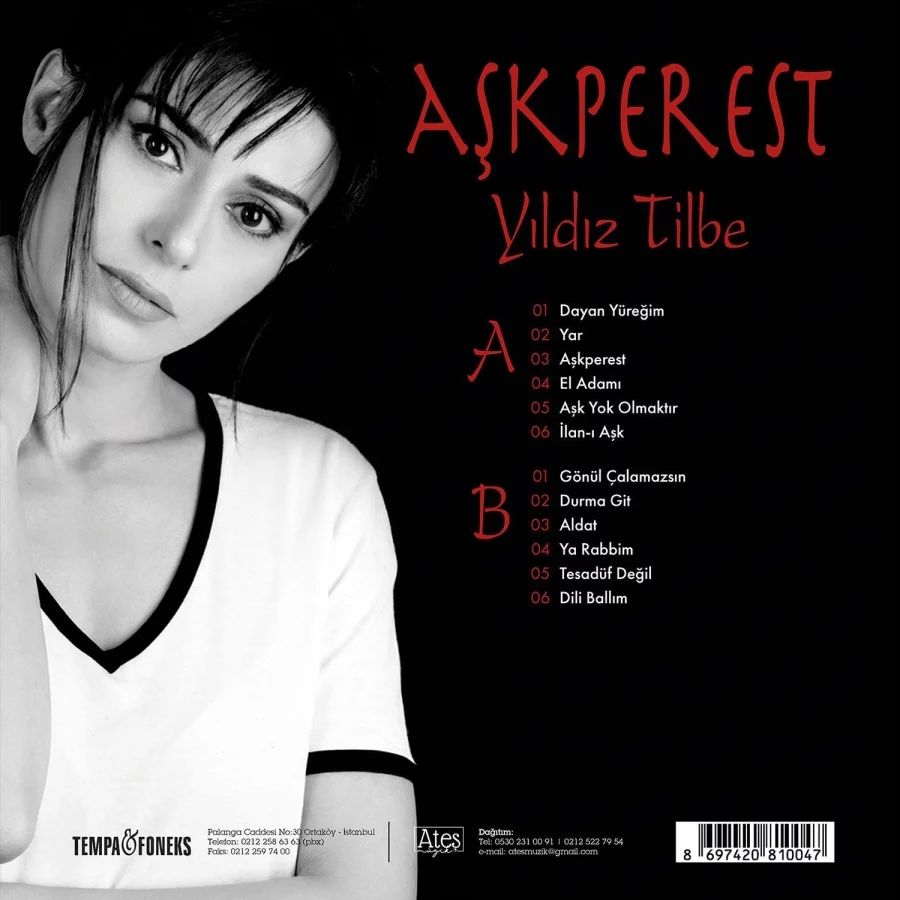 Yıldız Tilbe - Aşkperest (Plak) - Görsel 3