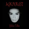 Yıldız Tilbe - Aşkperest (Plak) - Görsel 2
