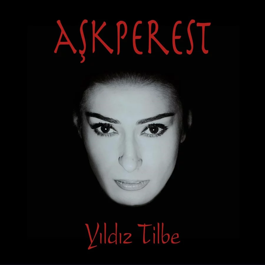 Yıldız Tilbe - Aşkperest (Plak) - Görsel 2