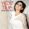 Yıldız Tilbe - Şivesi Sensin Aşkın (Plak)