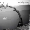 Erdal Güney - Perihel-Afel (Enstrümantal) (Plak) - Görsel 4