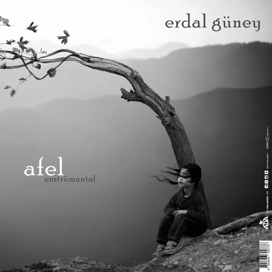 Erdal Güney - Perihel-Afel (Enstrümantal) (Plak) - Görsel 4