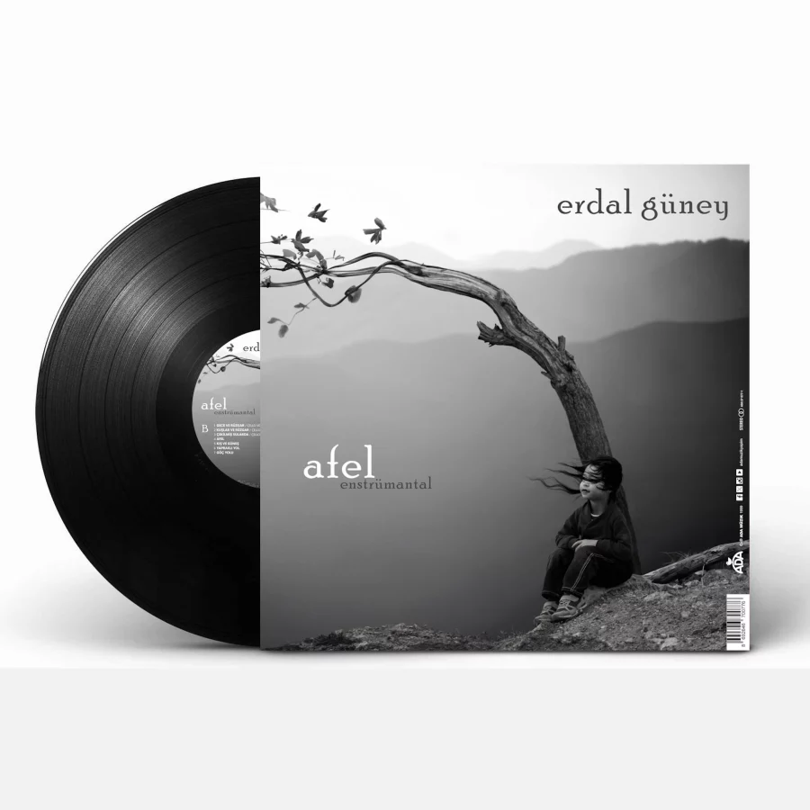 Erdal Güney - Perihel-Afel (Enstrümantal) (Plak) - Görsel 2