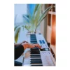 Arturia KeyLab Essential 88 Mk3 Siyah - Görsel 14