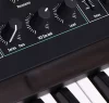Arturia PolyBrute Noir Edition Synthesizer - Görsel 9