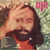 Erkin Koray - Erkin Koray Vol.2 (Renkli Plak) - Görsel 3