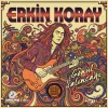 Erkin Koray - Gönül Salıncağı (Plak)