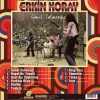 Erkin Koray - Gönül Salıncağı (Renkli Plak) - Görsel 3