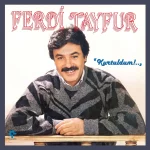 Ferdi Tayfur - Kurtuldum (Plak)