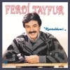 Ferdi Tayfur - Kurtuldum (Plak)