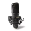 Marantz Professional MPM-2000U USB Condenser Mikrofon - Görsel 2
